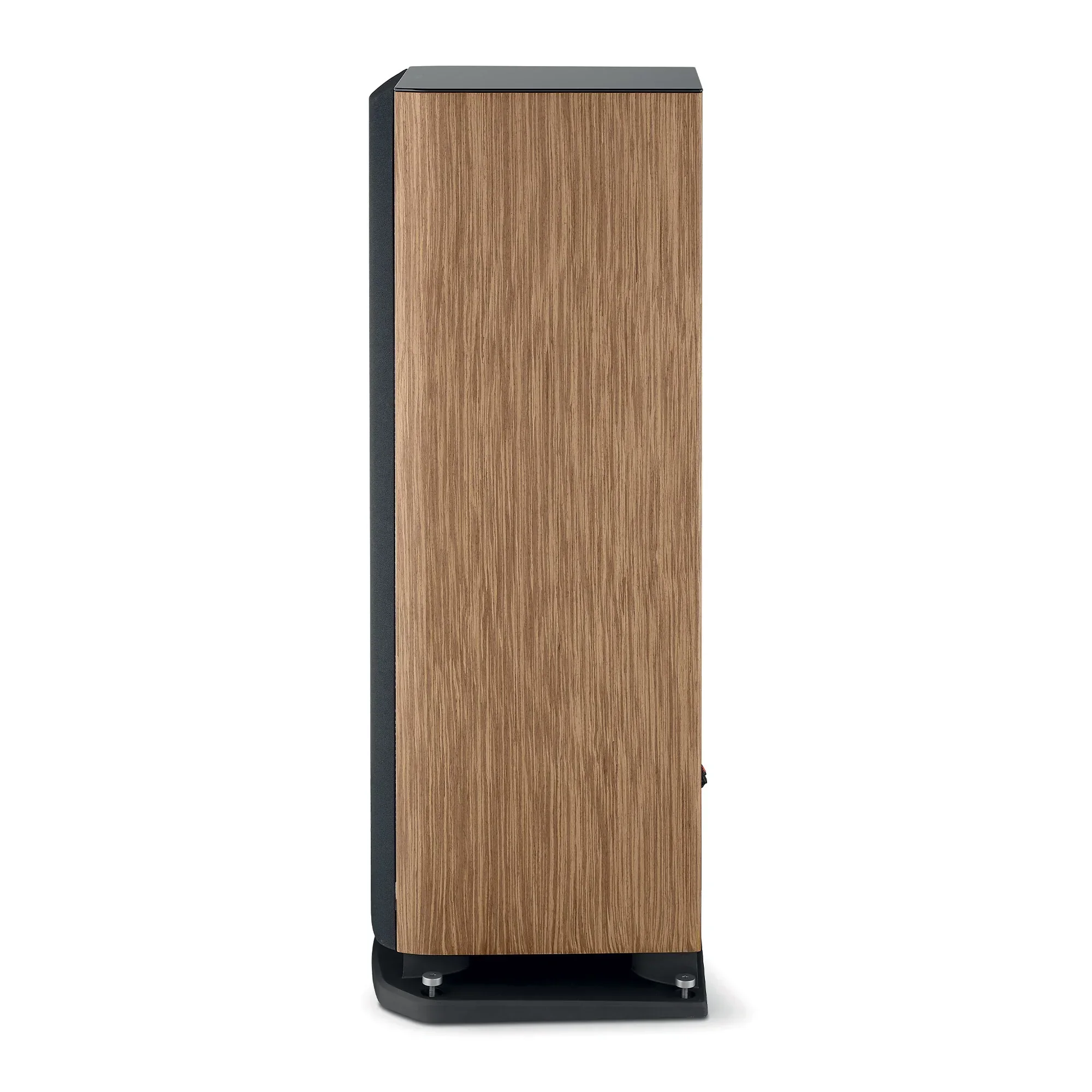 Focal - Aria Evo X N°4 - Image 6